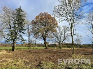 Prodej pozemku pro bydlení, Golčův Jeníkov, 2922 m2