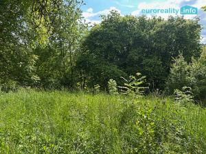 Prodej rodinného domu, Kokašice - Čeliv, 200 m2