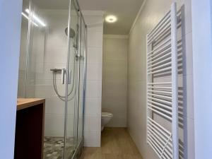 Pronájem bytu 1+kk, Ostrava - Poruba, Spartakovců, 23 m2
