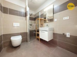 Pronájem bytu 1+kk, Ostrava, Sokolovská, 30 m2