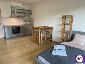 Prodej bytu 1+kk, Slaný, Lázeňská, 35 m2