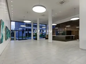 Pronájem kanceláře, Brno - Staré Brno, Nové sady, 300 m2