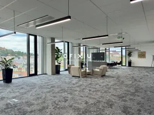 Pronájem kanceláře, Brno - Staré Brno, Nové sady, 300 m2