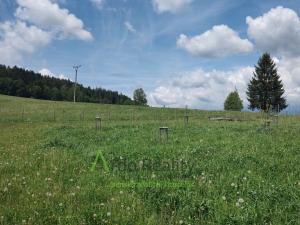 Prodej pozemku pro bydlení, Vyšší Brod - Dolní Jílovice, 6423 m2