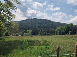 Prodej pozemku pro bydlení, Vyšší Brod - Dolní Jílovice, 6423 m2