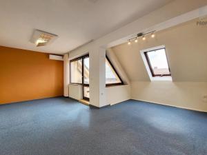 Prodej kanceláře, Brno, Haasova, 246 m2