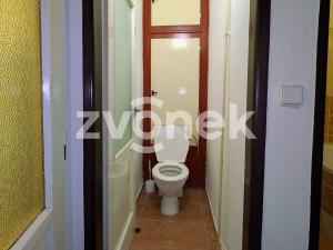 Pronájem bytu 1+1, Vsetín, Zahradní, 42 m2