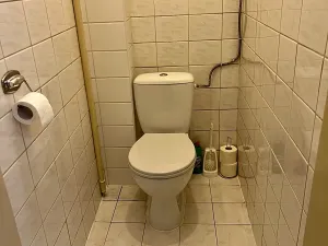 Pronájem bytu 3+kk, Praha - Nusle, Nuselská, 95 m2