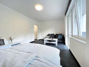 Prodej bytu 1+1, Město Albrechtice - Hynčice, 32 m2