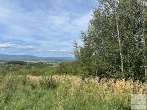 Prodej pozemku pro bydlení, Jenišov, V Oblouku, 1027 m2
