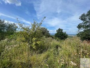 Prodej pozemku pro bydlení, Jenišov, V Oblouku, 1027 m2