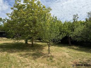 Prodej pozemku pro bydlení, Lelekovice, 1361 m2