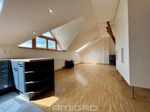 Pronájem bytu 2+kk, Brno, Obilní trh, 51 m2