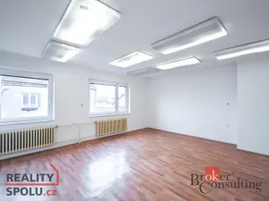 Prodej obchodního prostoru, Pardubice - Zelené Předměstí, V Ráji, 740 m2