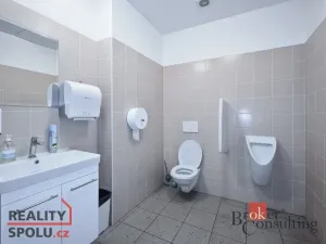 Prodej obchodního prostoru, Pardubice - Zelené Předměstí, V Ráji, 740 m2