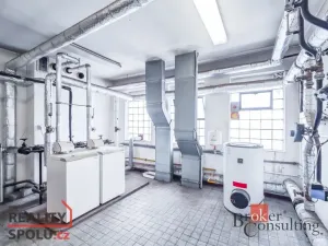 Prodej obchodního prostoru, Pardubice - Zelené Předměstí, V Ráji, 740 m2