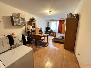 Pronájem bytu 1+kk, Praha - Libeň, Braunerova, 30 m2