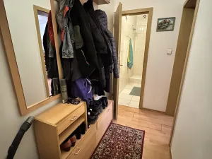 Pronájem bytu 1+kk, Praha - Libeň, Braunerova, 30 m2