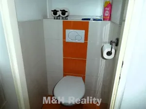 Pronájem bytu 3+1, Frýdlant nad Ostravicí, Družstevní, 69 m2