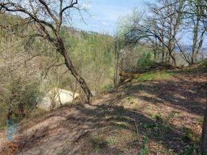 Prodej pozemku pro bydlení, Bílovice nad Svitavou, Soběšická