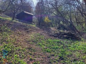 Prodej pozemku pro bydlení, Bílovice nad Svitavou, Soběšická
