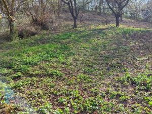 Prodej pozemku pro bydlení, Bílovice nad Svitavou, Soběšická