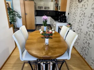 Prodej bytu 3+1, Tábor, Špitálská, 104 m2