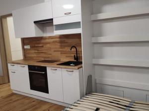 Pronájem bytu 1+kk, Praha - Bohnice, Pekařova, 42 m2