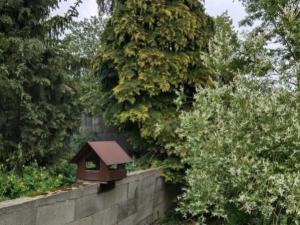 Pronájem rodinného domu, Sázava, náměstí Voskovce a Wericha, 50 m2