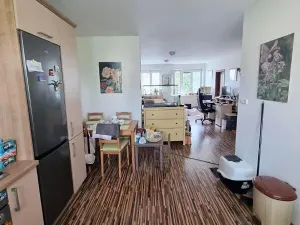 Prodej vícegeneračního domu, Jihlava, Fibichova, 300 m2