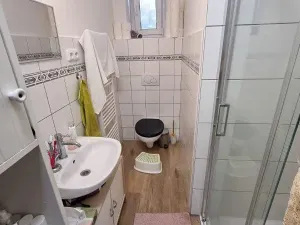 Prodej vícegeneračního domu, Jihlava, Fibichova, 300 m2