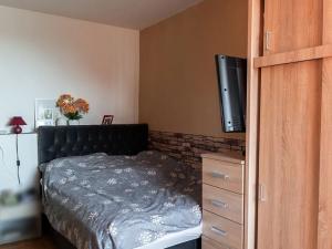 Pronájem bytu 2+1, Kojetín, Jana Peštuky, 43 m2