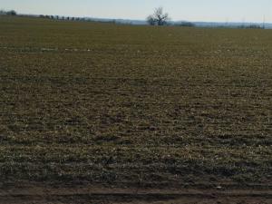 Prodej pozemku pro bydlení, Hrušovany nad Jevišovkou, 4538 m2