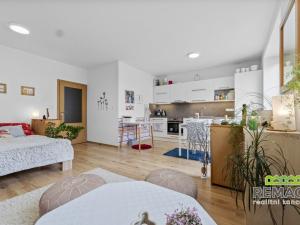 Prodej bytu 1+kk, Uherské Hradiště, Hrušková, 41 m2
