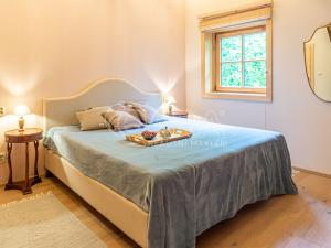 Prodej chalupy, Samopše - Budín, 164 m2