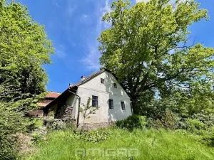 Prodej chalupy, Březiny, 350 m2