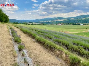 Prodej chalupy, Nezabudice, 230 m2