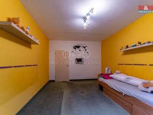 Prodej bytu 3+1, Sokolov, Mičurinova, 81 m2