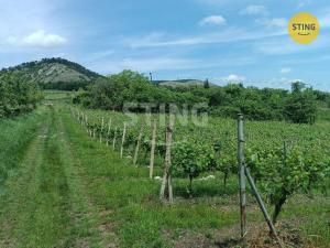 Prodej sadu/vinice, Klentnice, 3586 m2