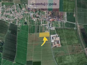 Prodej pole, Břest, 11441 m2