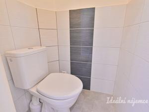 Pronájem atypického bytu, Brno - Královo Pole, Malátova, 97 m2