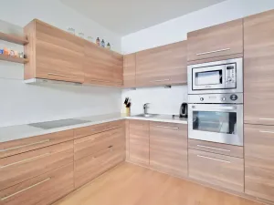Pronájem bytu 3+kk, Brno - Staré Brno, Vodní, 80 m2