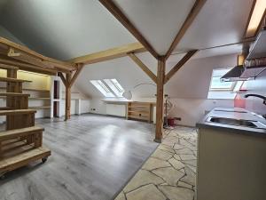 Pronájem bytu 1+kk, Praha - Žižkov, Rokycanova, 52 m2