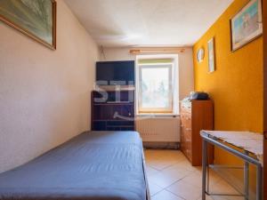Prodej zemědělské usedlosti, Březová - Leskovec, 300 m2