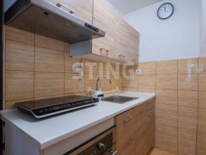 Prodej zemědělské usedlosti, Březová - Leskovec, 300 m2