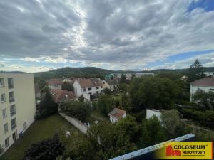 Pronájem bytu 1+1, Kuřim, 25 m2