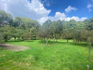 Prodej zahrady, Bílovec, 1012 m2