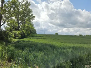 Prodej pole, Kyjov, 2649 m2