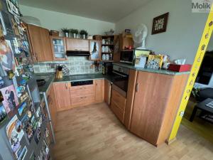 Prodej bytu 3+1, Teplice - Trnovany, Trnovanská, 70 m2