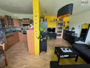 Prodej bytu 3+1, Teplice - Trnovany, Trnovanská, 70 m2